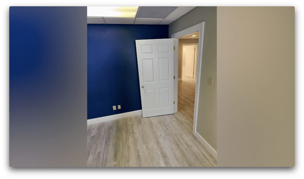 3010 Taylor Spring Dr. Downstairs Office Walkthrough